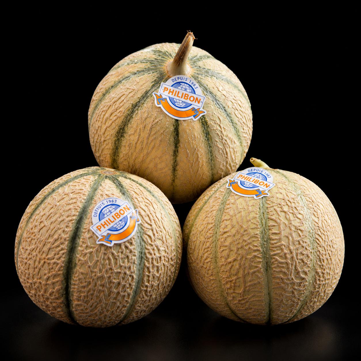 Melons charentais de la sélection MIA présentés avec leur marque